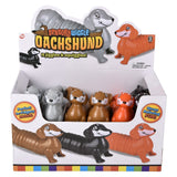 Sensory Dachshund Wiggle Toy (12 Pc Display)