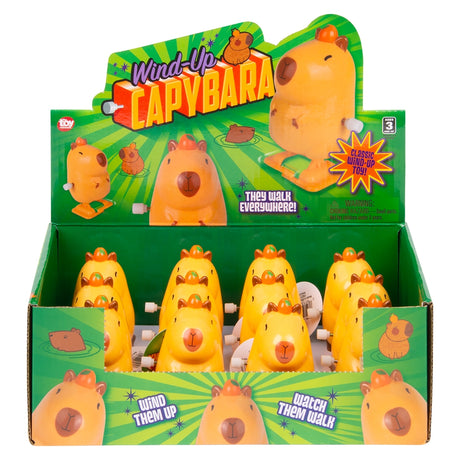 Wind-Up Capybara Toy (1 DSP)