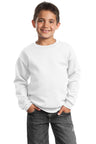 Port & Company® - Youth Core Fleece Crewneck Sweatshirt