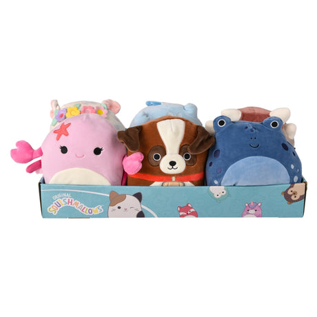 Squishmallow Plush Display (1 DIS)