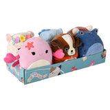Squishmallow Plush Display (1 DIS)