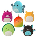 Squishmallow Plush Display (1 DIS)