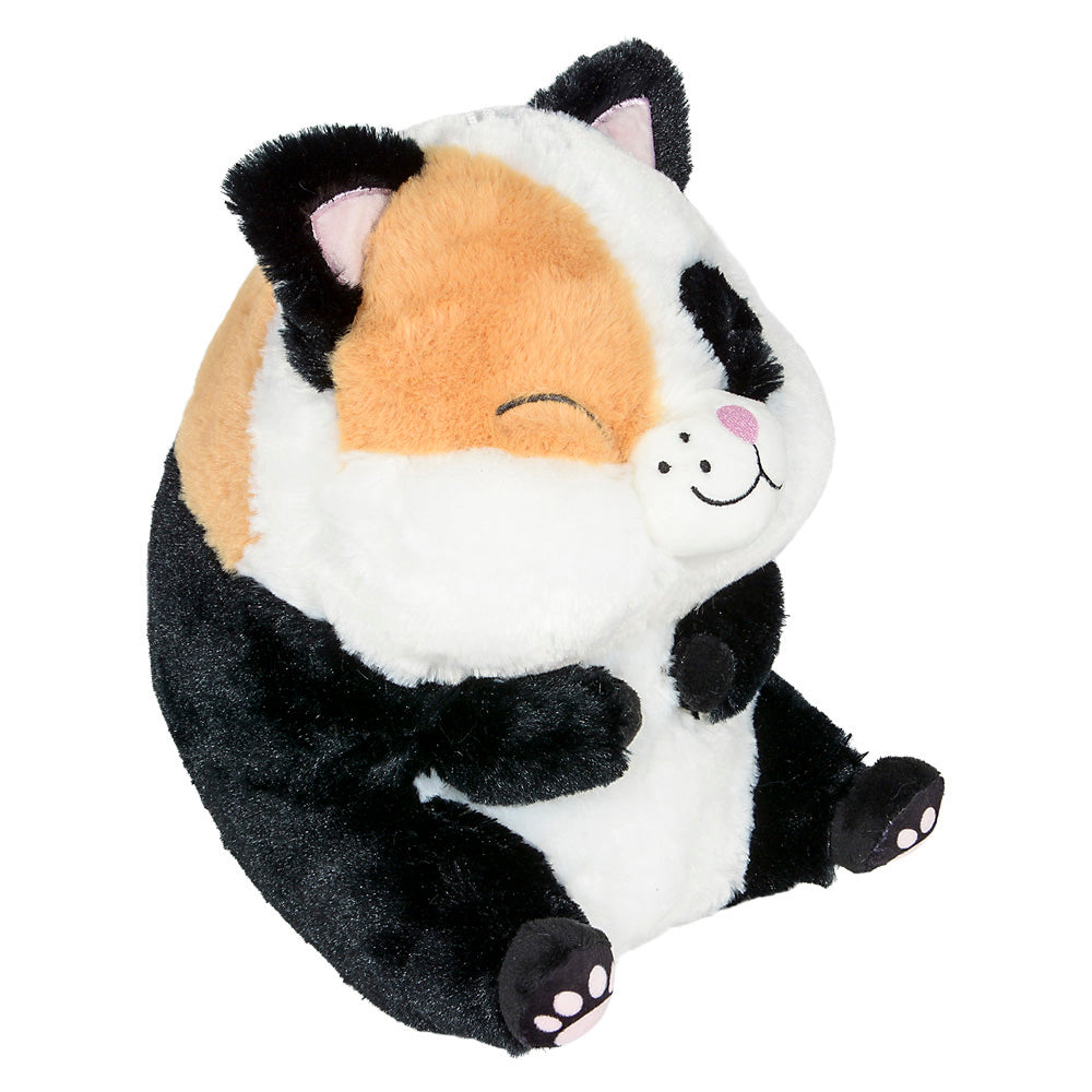 Belly Buddy Cat Plush (1 PC)