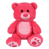 Plush Mink Highlight Bears (1 PC)