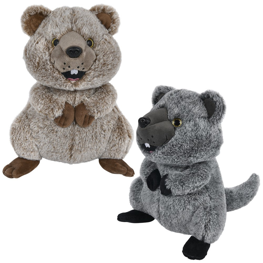 Quokka Plush Toy 11"