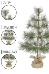 24" Tabletop Mountain Pine Christmas Tree with Burlap Wrapped Base