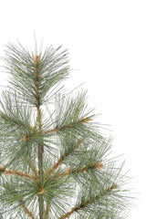 24" Tabletop Mountain Pine Christmas Tree with Burlap Wrapped Base