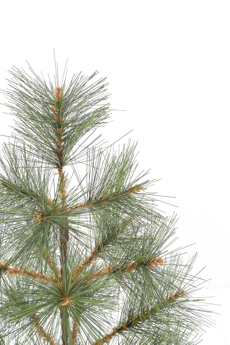 24" Tabletop Mountain Pine Christmas Tree with Burlap Wrapped Base