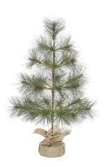 24" Tabletop Mountain Pine Christmas Tree with Burlap Wrapped Base
