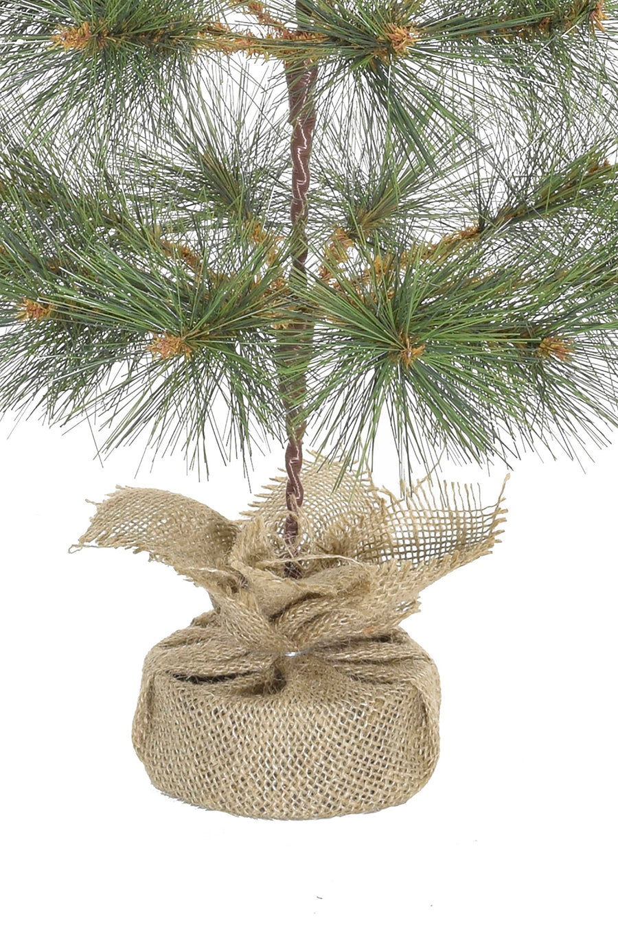 24" Tabletop Mountain Pine Christmas Tree with Burlap Wrapped Base