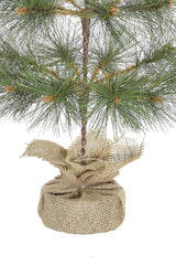 24" Tabletop Mountain Pine Christmas Tree with Burlap Wrapped Base