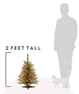 2' Prelit Tabletop Christmas Tree – Champagne