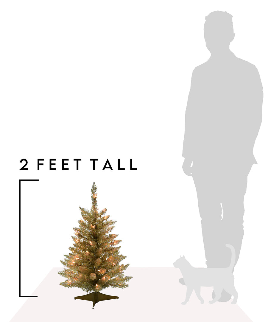2' Prelit Tabletop Christmas Tree - Champagne
