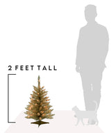 2' Prelit Tabletop Christmas Tree - Champagne