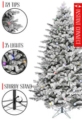 Pre-lit Large Bulb Snow Flocked Grand Noble Fir with Metal Stand - Instant Connect Feature