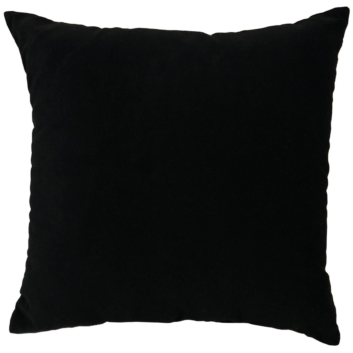 Giada Outdoor Pillow Solid Velvet Fabric - Ivory, 23X23 (1 Pillow)