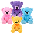 Bright Bear Plush (1 PC)