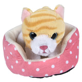 Cat Plush in Bed