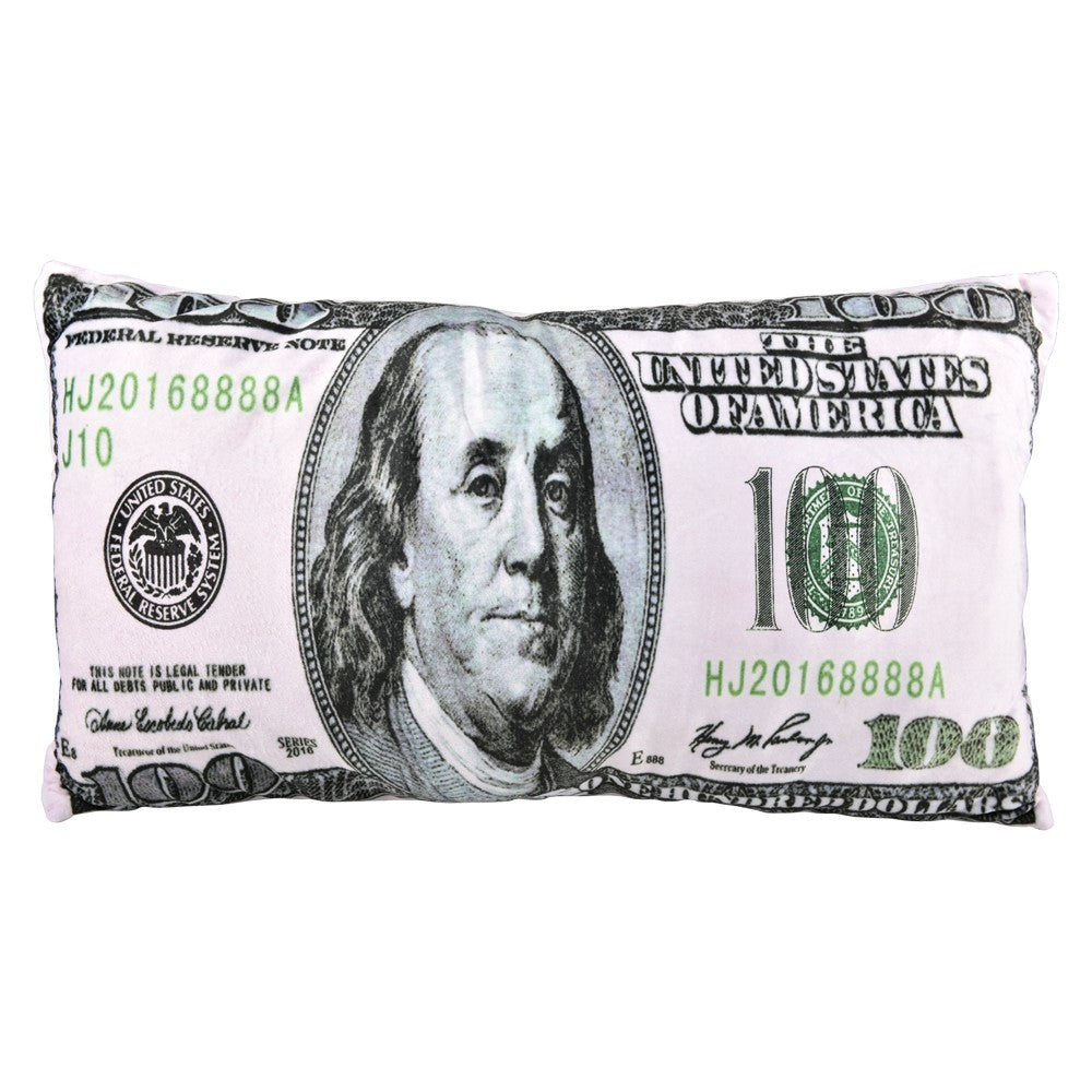Money Pillow Plush Pillow (1 PC)