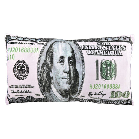 Money Pillow Plush Pillow (1 PC)
