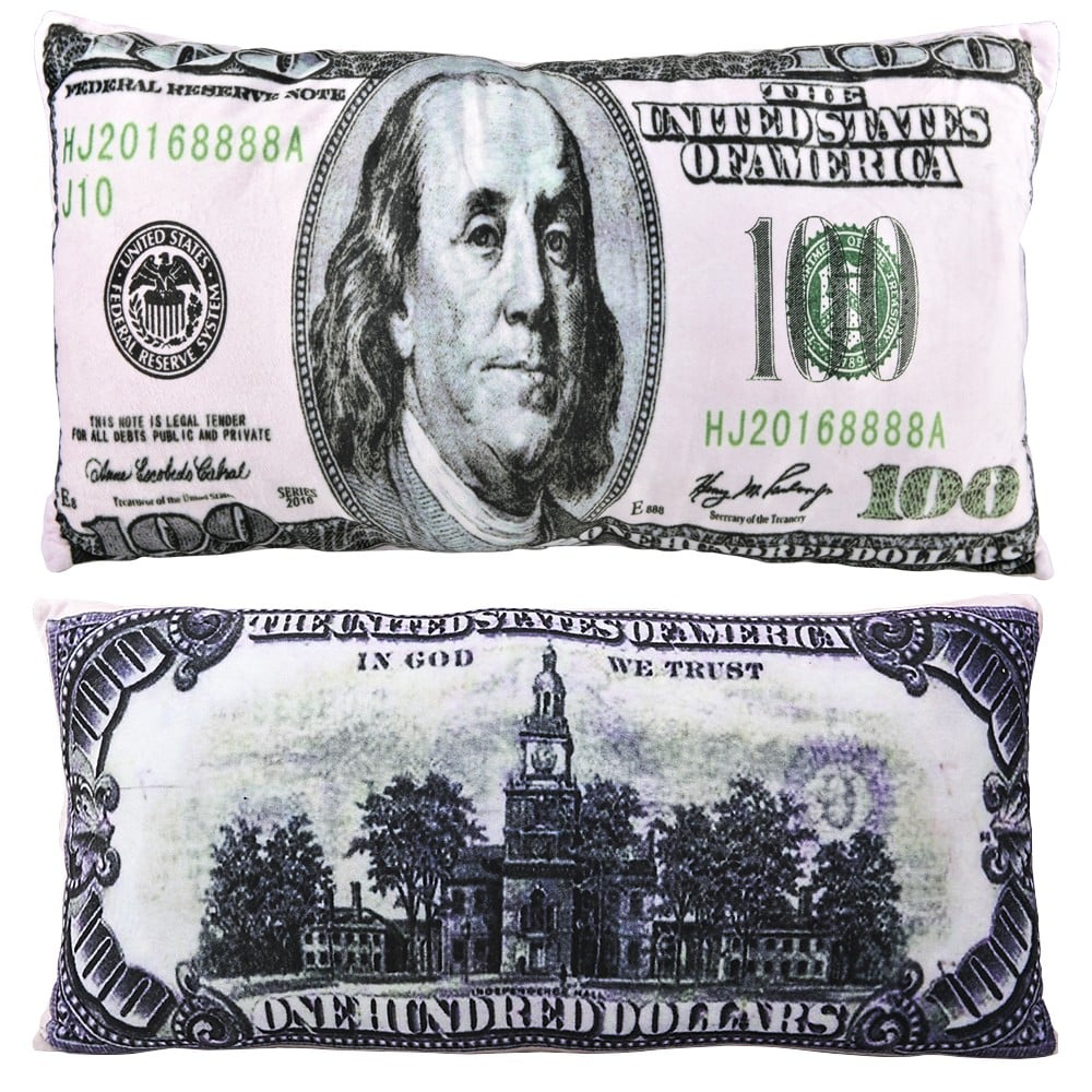 Money Pillow Plush Pillow (1 PC)
