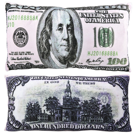 Money Pillow Plush Pillow (1 PC)