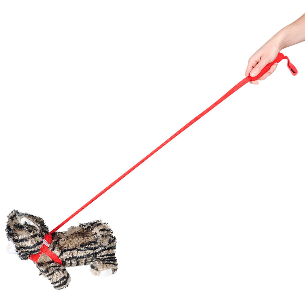 Plush Cat & Dog With 35" Leash (1 DZ)