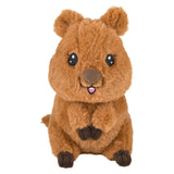 Quokka Plush 6" (1 DZ)