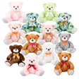 Plush Ribbon Bear Assortment (1 DZ)