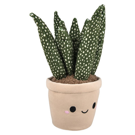 Plush Succulent Assortment 6.5"-10" 6ct