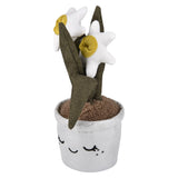 Plush Succulent Assortment 6.5"-10" 6ct
