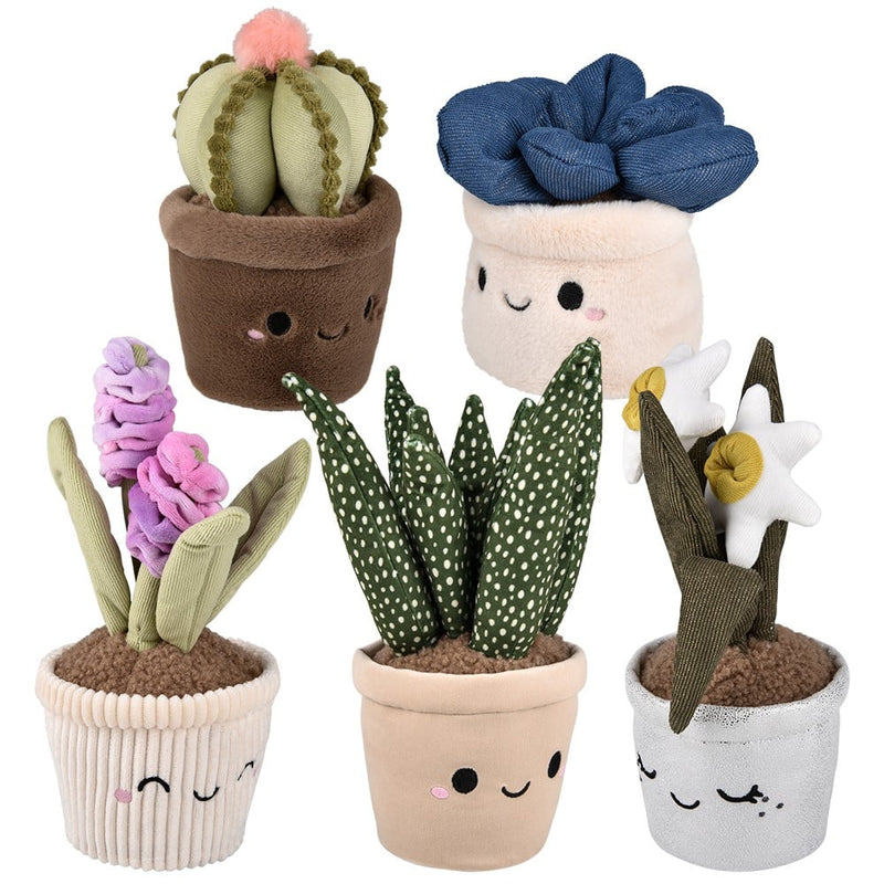 Plush Succulent Assortment 6.5"-10" 6ct