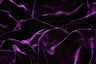 Premium Silk Rayon Velvet Fabric - Azalea, 45" Width (1 Yard)