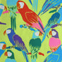 Microfiber Boardshort Fabric Parrots Print