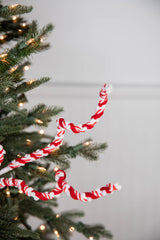 29” Peppermint Curly Stem