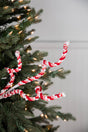 29” Peppermint Curly Stem