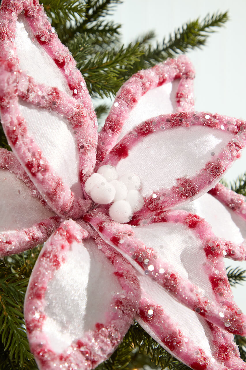 22" Pink & White Candy with Snowglitter Poinsettia Stem