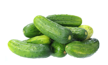 PICKLING CUCUMBERS