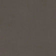 Pewter Cuddle 3 Extra Wide Minky Fabric