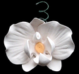Phalaenopsis Blooms & Buds - 27 total pieces