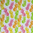 Poly Spandex Swimsuit Fabric Fluorescent Pineapples