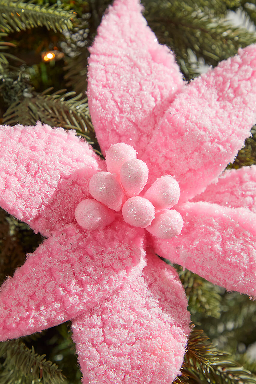 20” x 12" Sugared Cotton Candy Poinsettia Stem