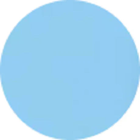 Prolite Vinyl Heat Transfer Vinyl Fabric - Light Blue, Hot Peel, 20" H x 12" W to 20" H x 900" W (Foot, Yard, 5 Yard)