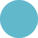 Prolite Vinyl Heat Transfer Vinyl - Seafoam Blue, Hot Peel (1 Foot)