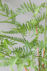33 Inch Luxe Potted Fern Decorative Artificial Greenery Plant in Pot