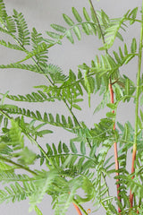 33" Luxe Potted Fern