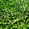 Pug Leopard Primo Stretch Velvet Fabric - Leopard Print, 56" Width (1 Yard)