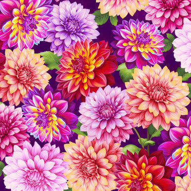 Cotton Purple Dahlias Blissful Blooms Fabric 43/44"