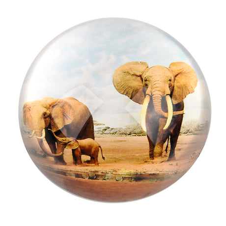 Dome Paperweight Elephant Family (1 PC)