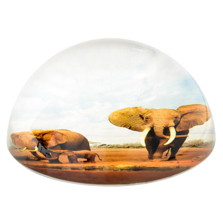 Dome Paperweight Elephant Family (1 PC)